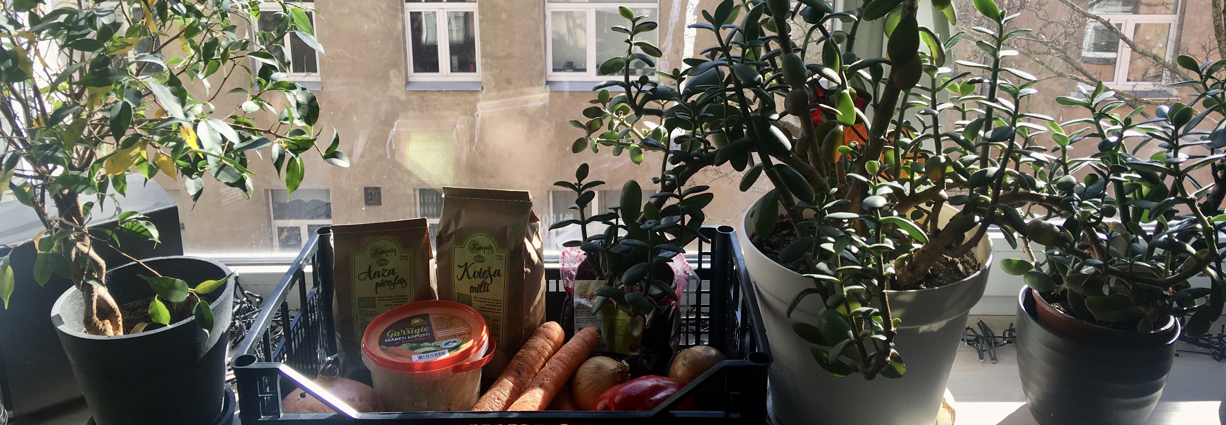 support local businesses riga